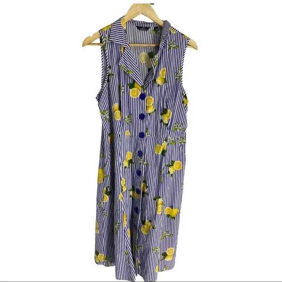 Mlle Gabrielle Dresses | Mlle Gabrielle Lemon Fit & Flare Dress *Flaw | Color: Blue/Yellow | Size: L | Geraghtyolivia's Closet